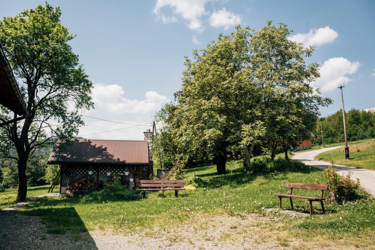Apartamenty Madzia Wisła Buitenkant foto