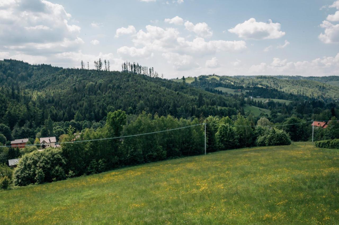 Apartamenty Madzia Wisła Buitenkant foto