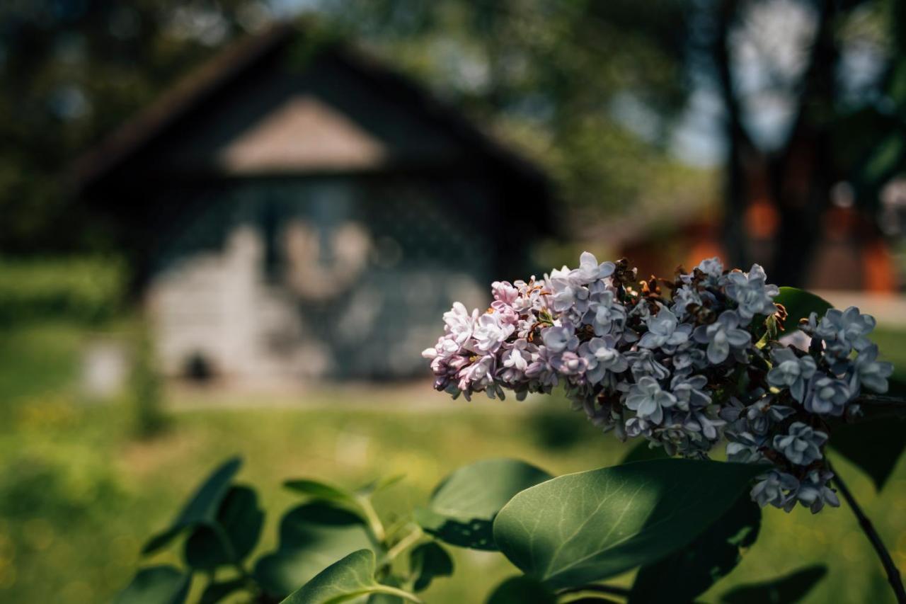 Apartamenty Madzia Wisła Buitenkant foto