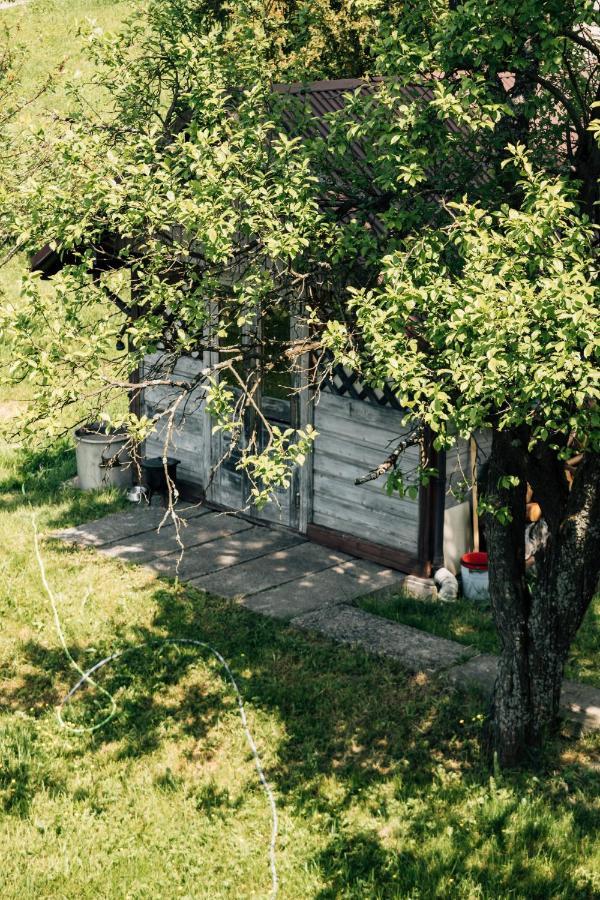 Apartamenty Madzia Wisła Buitenkant foto